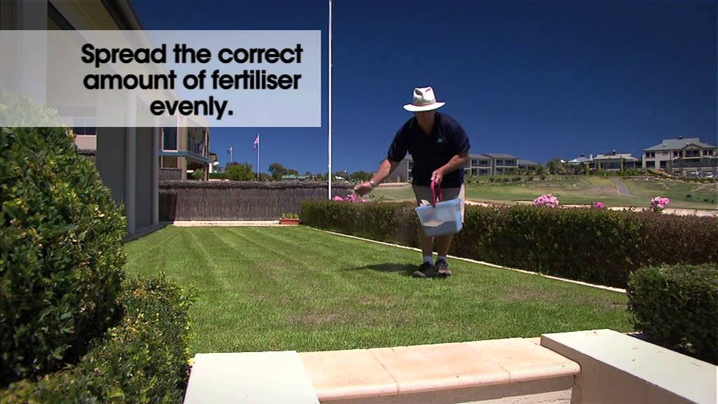 How to feed your lawn using Munns Lawn Fertilisers