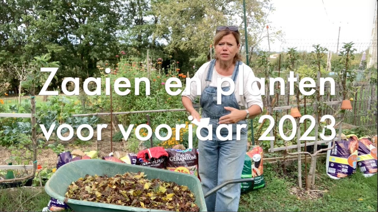 Ini's Moestuin #119  Oktober: zaaien en planten voor voorjaar 2023 o a.  knoflook, uien en tuinbonen