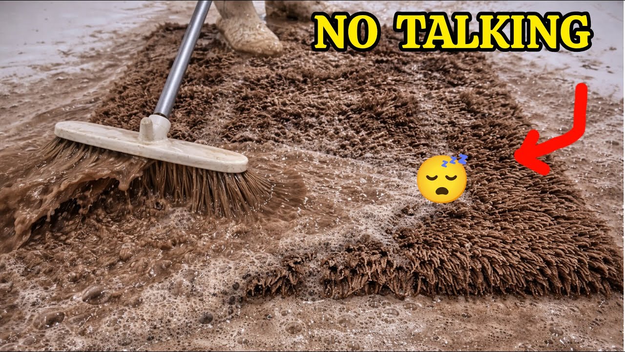 Satisfying Carpet Cleaning | Deep Scrubbing & Rinsing