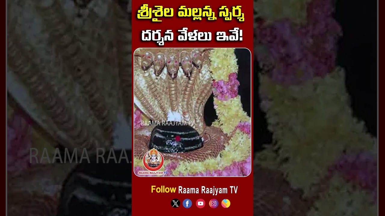 These are the timings of Srisailam Mallanna Sparsha Darshana! || Srisailam Sparsha Darshana Timings ||@RaamaraajyamTv