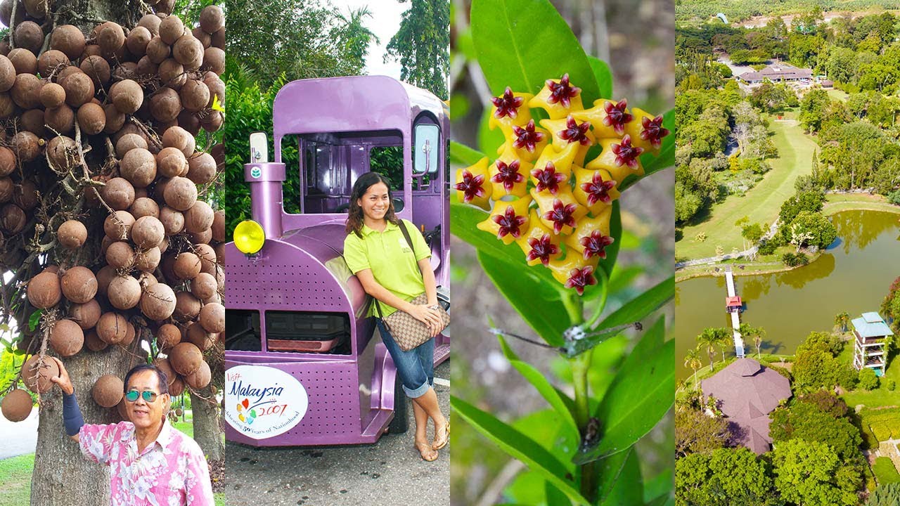 Sabah Agriculture Park, the largest garden of Sabah (Malaysia)