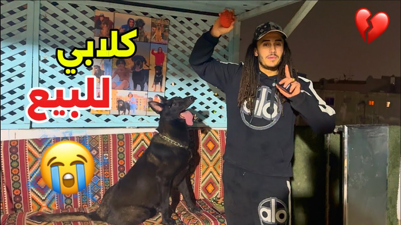 كلابي للبيع وعاصم هنيدي السبب !😭💔