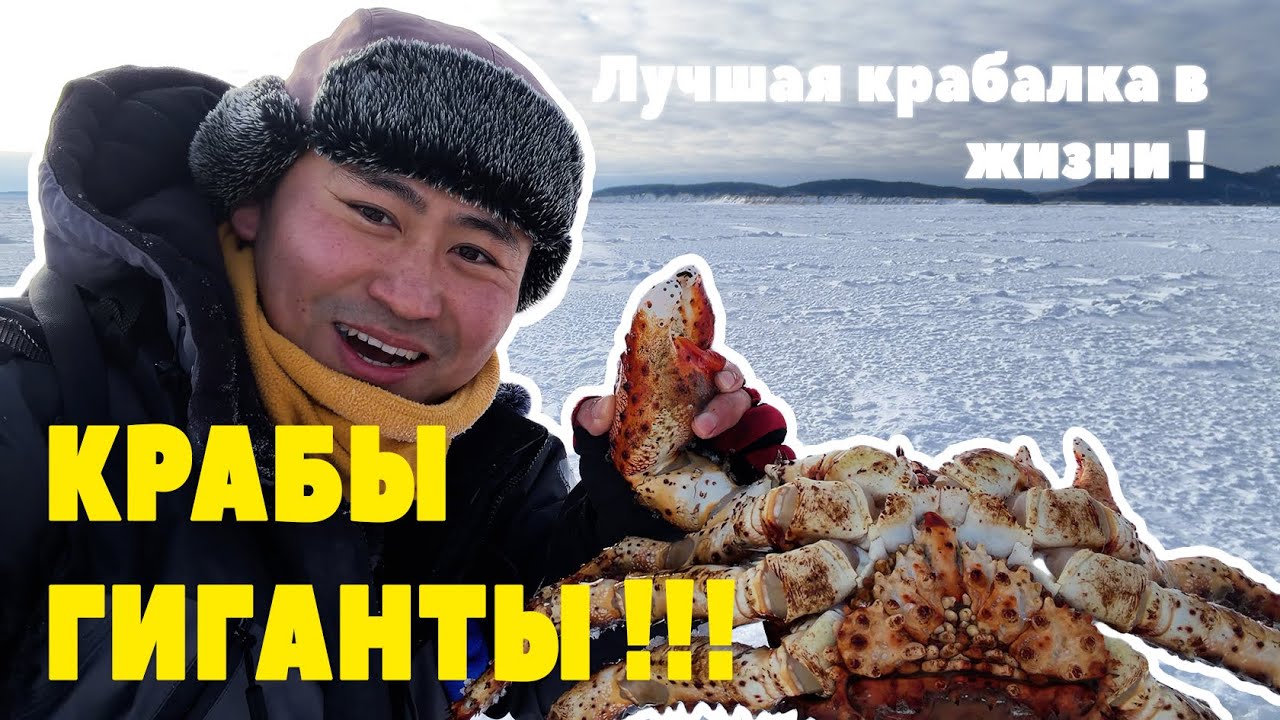ЛУЧШАЯ КРАБАЛКА в ЖИЗНИ ! Жор гигантов !