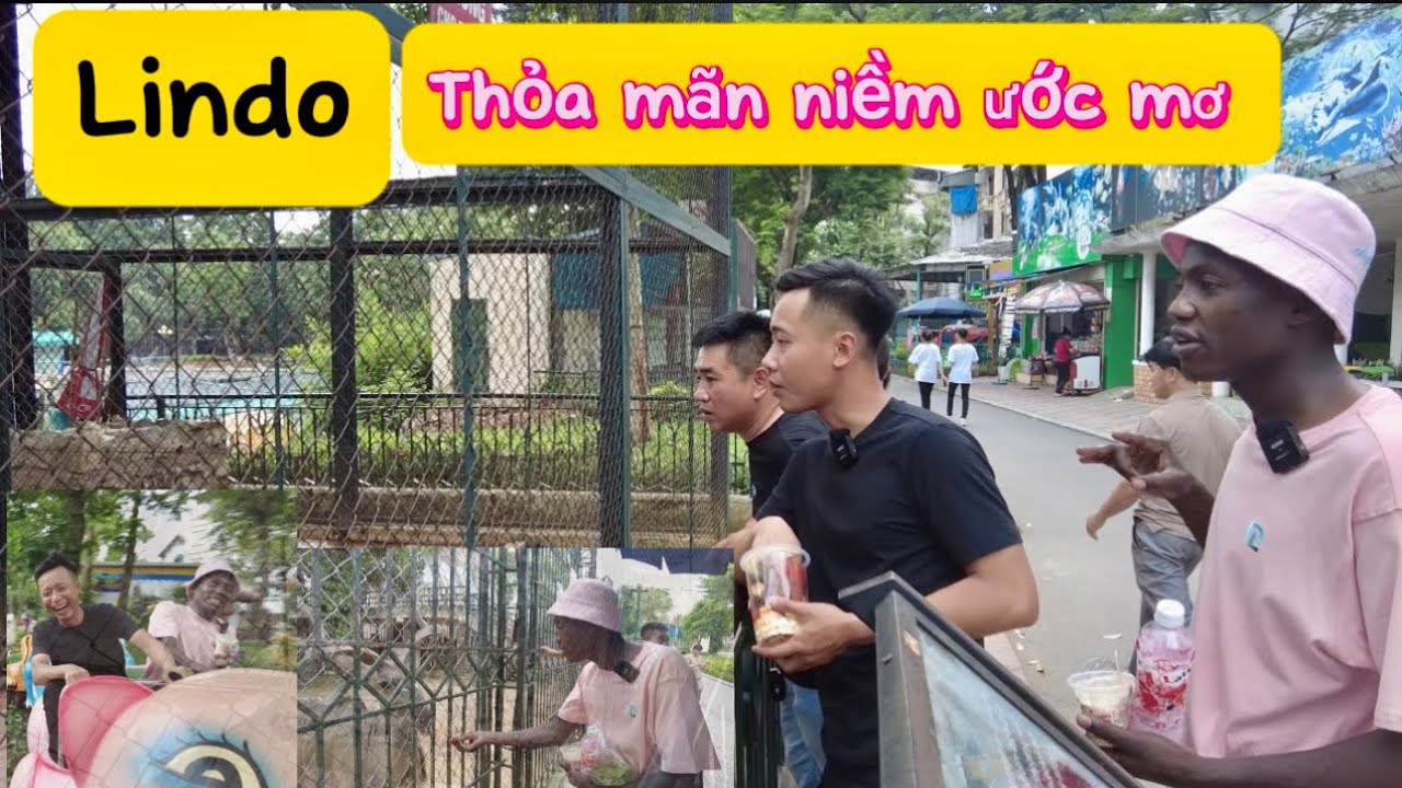 Nguyễn Tiến || Chiều Lindo Hết Mức - Thoả Mãn Ước Mơ Xem Voi Của Lindo