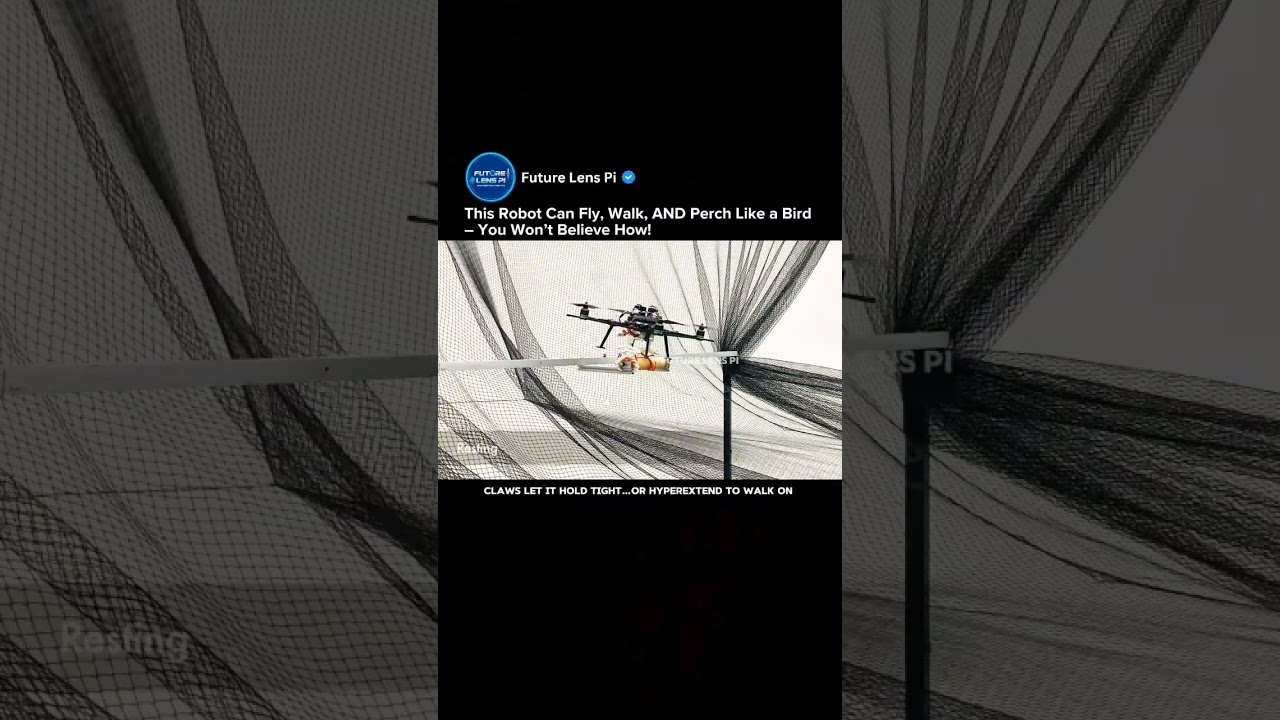 Avian-Inspired Robot Claws Let UAVs Fly, Perch & Walk | Drone Innovation 