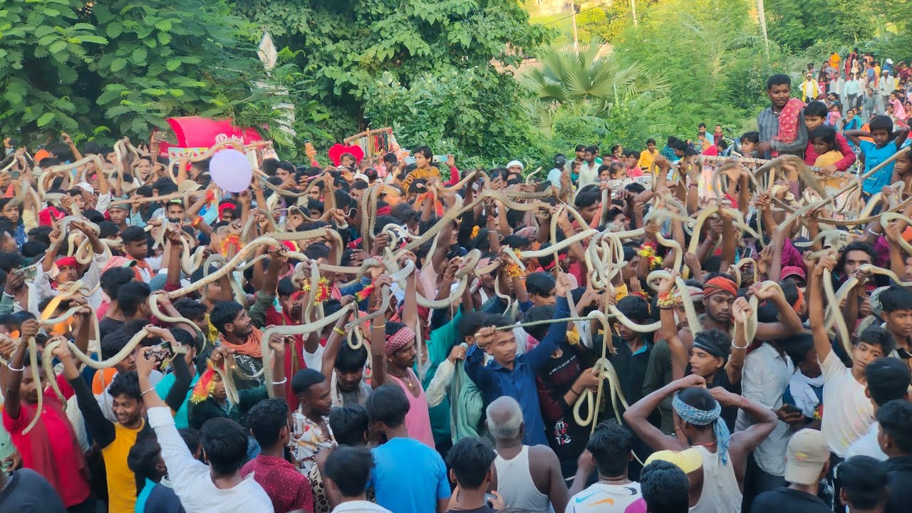 सांपो का मेला नाग पंचमी || Snake Fair 2022 || सिंघिया घाट