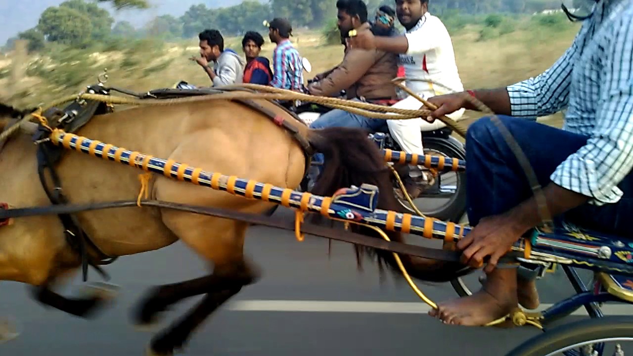 Vattu val Coimbatore saman jackey kovai saravanan
