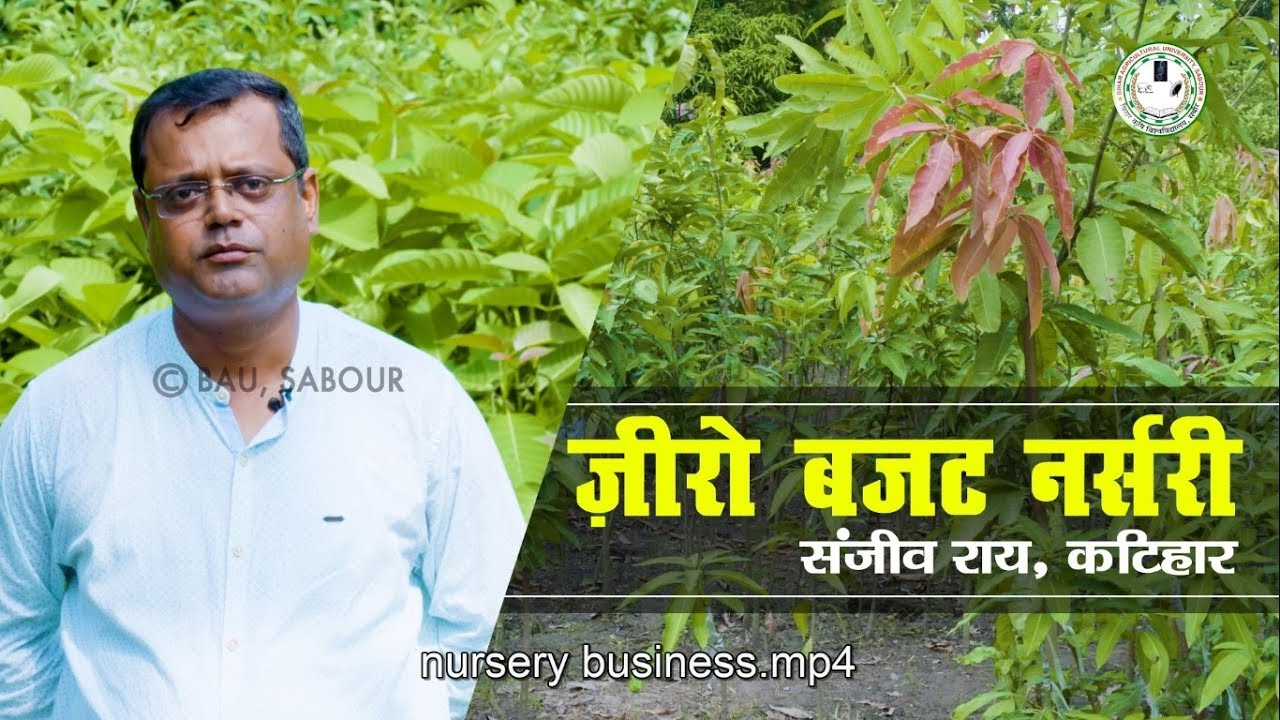Zero Budget Nursery | जीरो बजट नर्सरी से मिली सफलता : संजीव राय, कटिहार