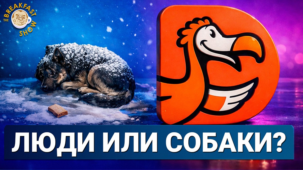 «Додо Пицца» и бездомная собака | Breakfast Show
