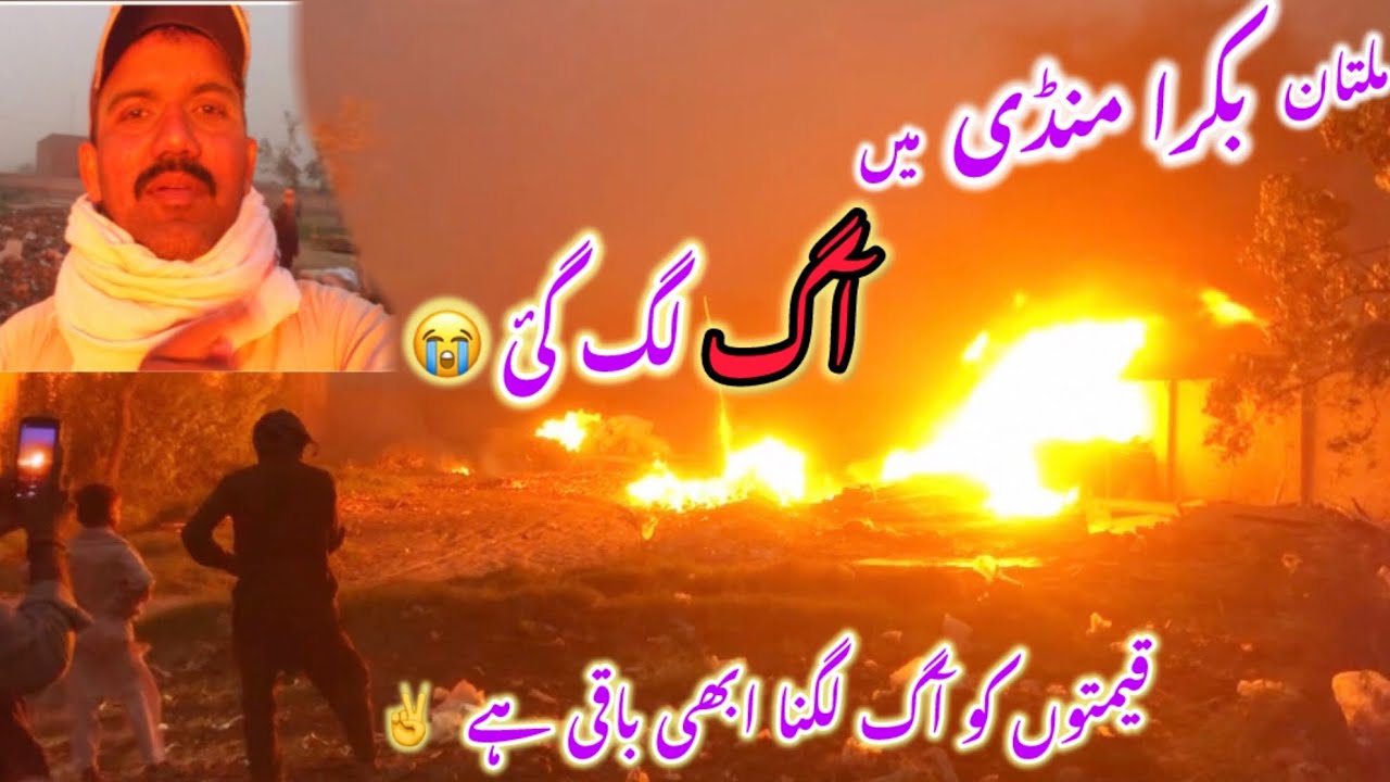 Multan Goat Market on Fire | Bakra Mandi | Barkat Farm