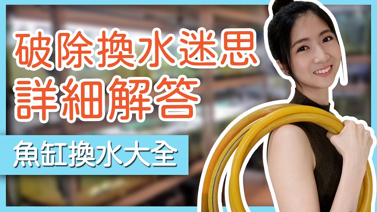養魚養蝦要換水嗎？一次要換多少？多久換一次？換水攻略一次解答 | 蝦農人生