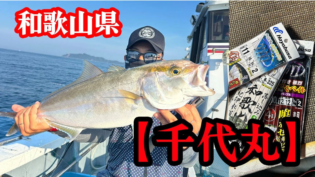 ロクマルカンパチ始まったヨ‼︎【千代丸/和歌山県御坊市】落とし込み便