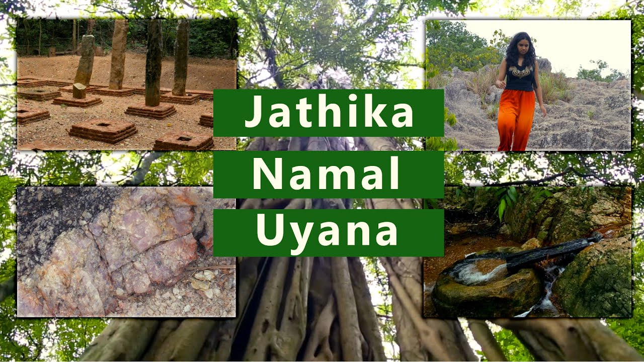 Jathika Namal Uyana - Dambulla | Sri Lanka