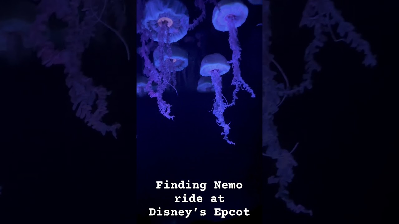 Finding Nemo ride at Disney Epcot theme park. 