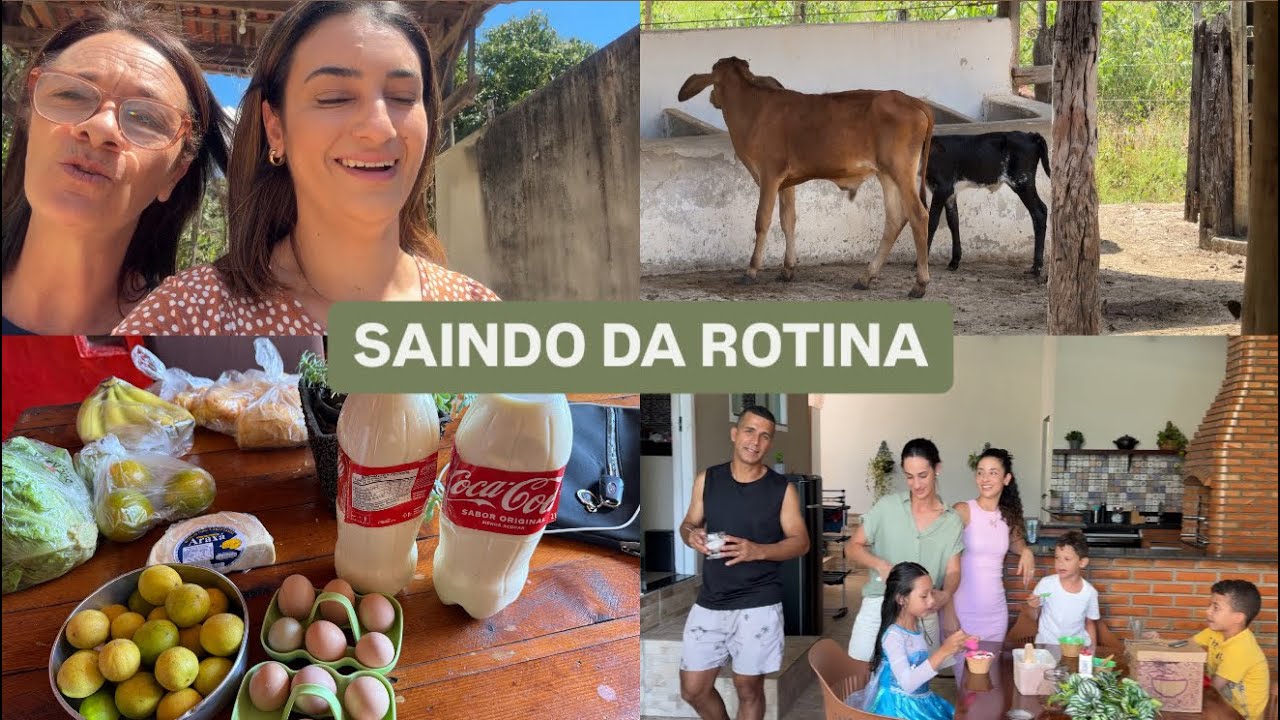 FOMOS EM UMA FAZENDA | BOLO DE FLOCÃO DA MAMIS| LASANHA NA FRIGIDEIRA | TARDE NA IRMÃ | LAÍS VELOSO