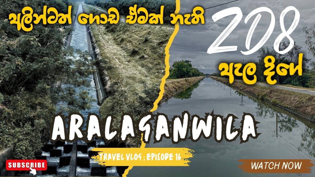 Stunning ZD8 Canal Ride 🇱🇰 | Motorbike Adventure Through Sri Lanka’s Famous Waterway🏞️🛵 #zd8 #ZDela