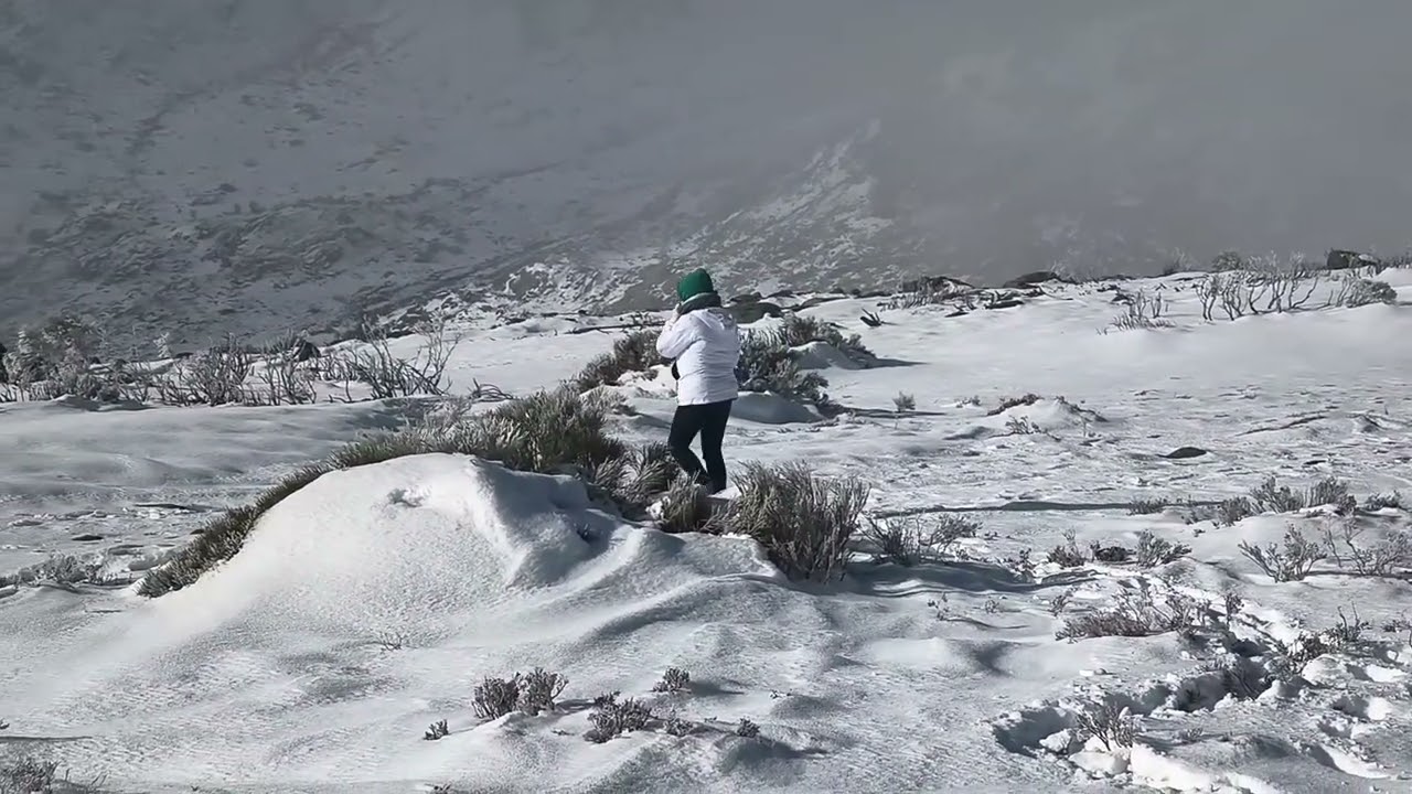 VID 2025 12 27 Laguna de los Peces