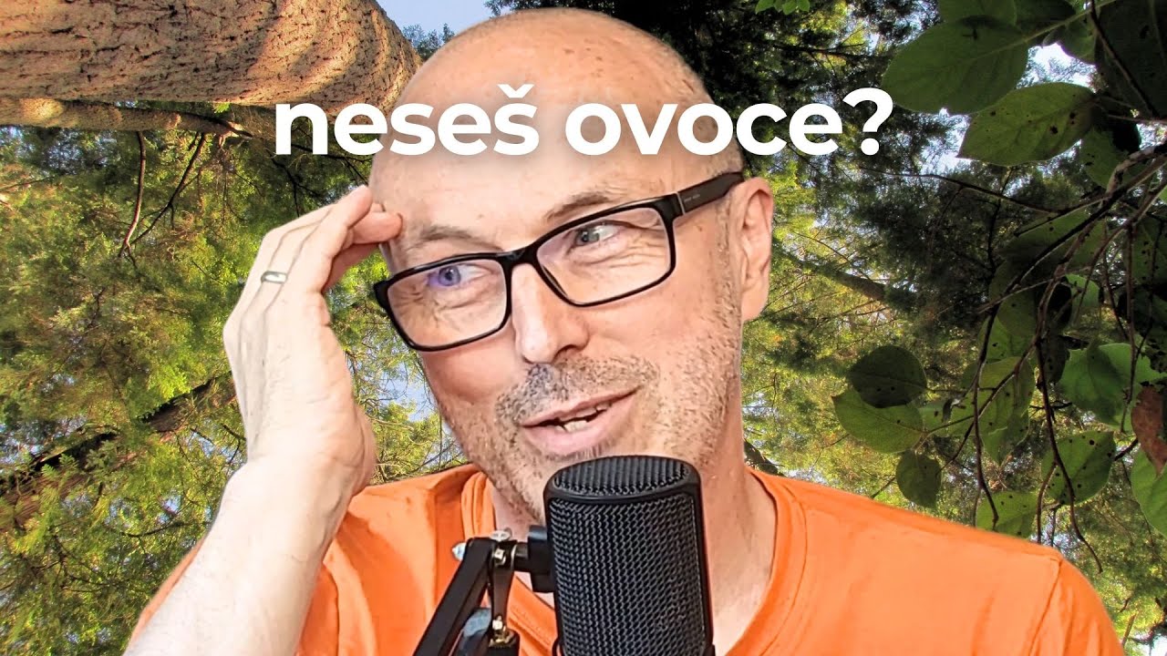 Život člověka jako růst a zrání stromu
