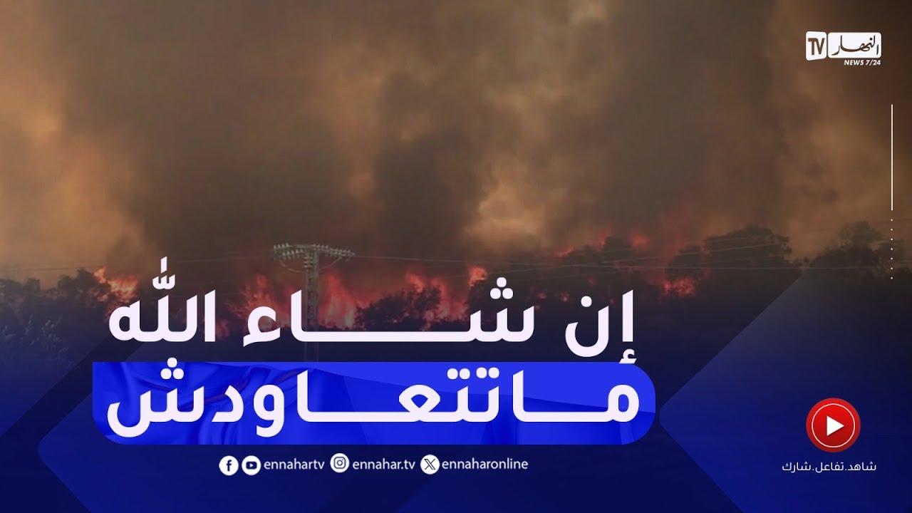 الطارف : لتفادي سيناريوهات الحرائق السابقة..تدابير وآليات لمكافحة حرائق الغابات