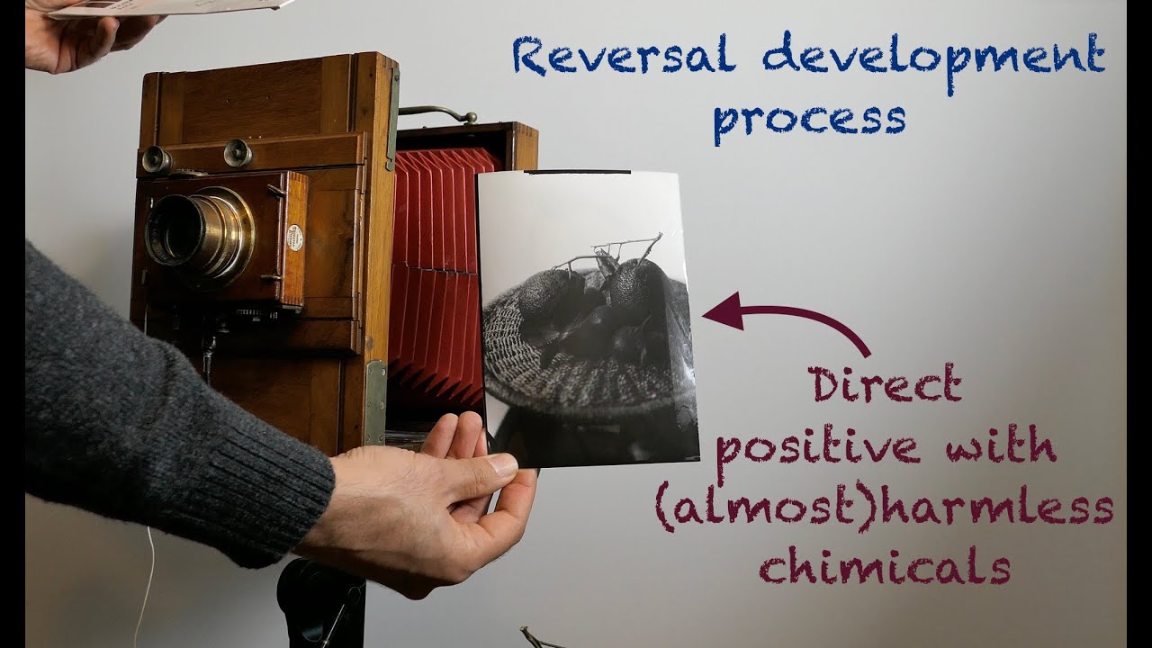 Large format reversal development process - direct positive with (almost) harmless chemicals.
