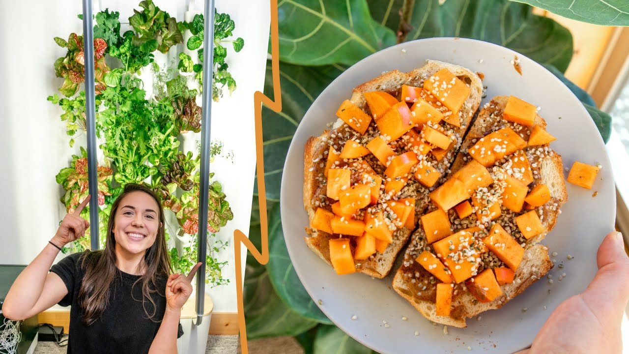 What I Ate + My New Indoor Garden! (Vegan)