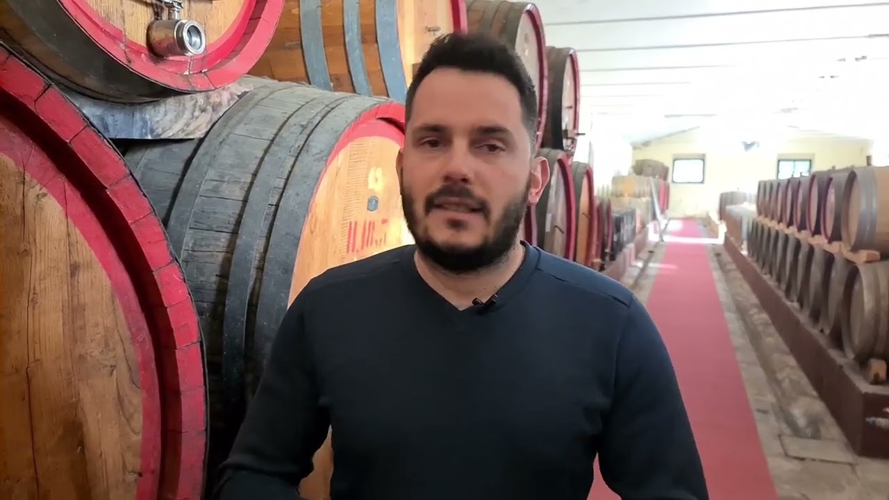Judikes. Il miglior vino d'Italia è di Oristano, prodotto dalla Cantina della Vernaccia