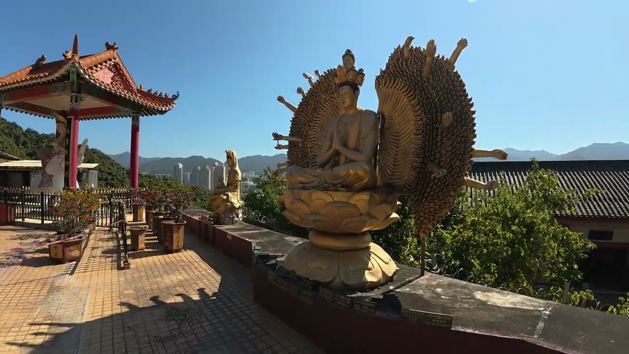 10000 Buddhas