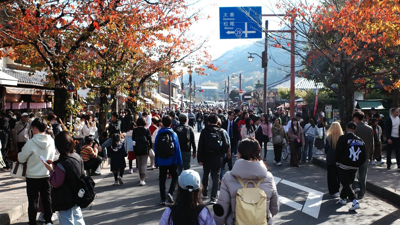 #306【街歩き】渡航自粛要請で中国人が激減した、紅葉が見頃の京都・嵐山②/嵐山竹林の小径/嵯峨野/野々宮神社/