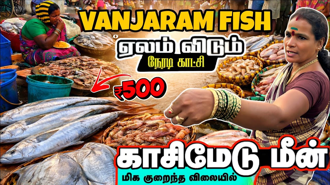 Chennai Kasimedu Fish Market at 4Am 🔥Vlog 🐟 | Vanjaram, Prawn, Crab Prices🫰🏻