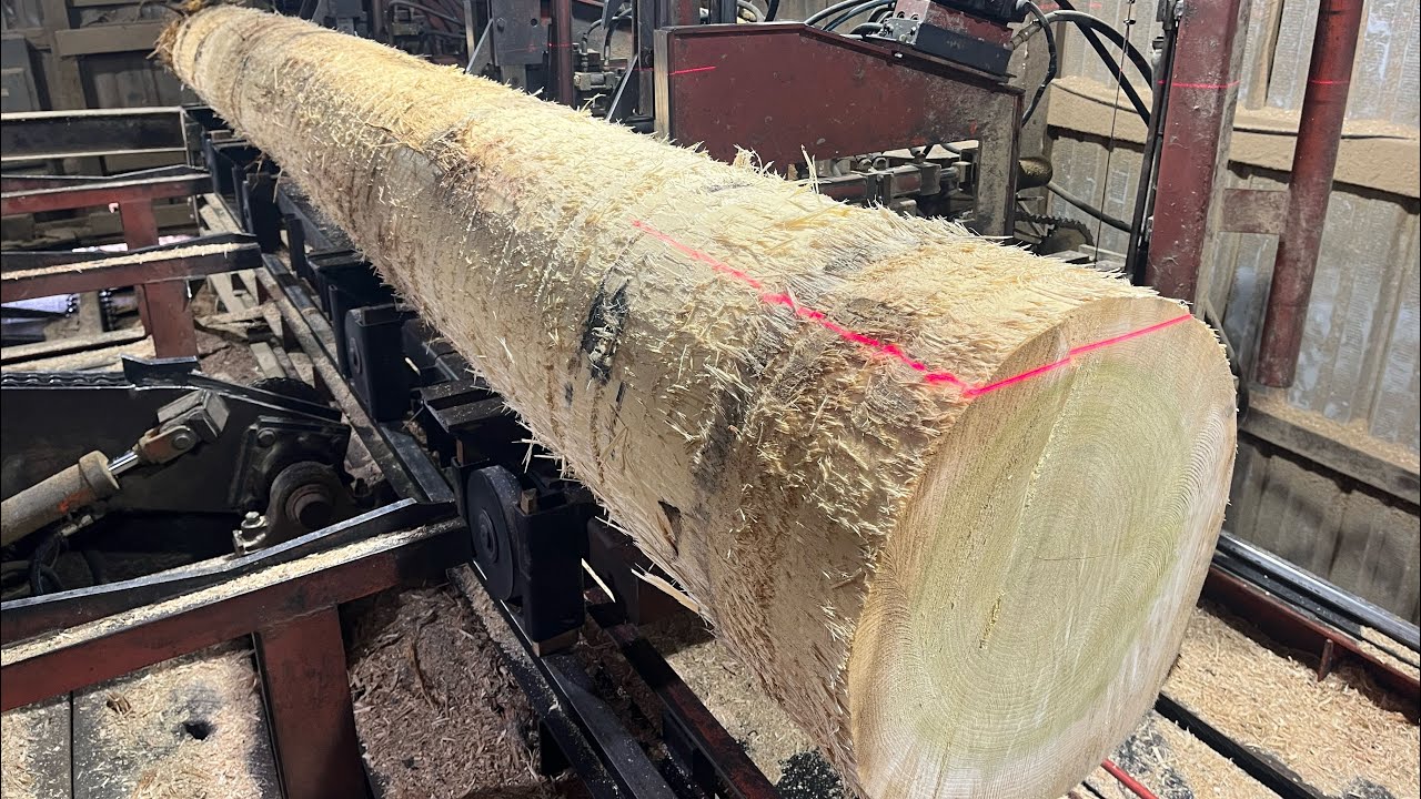 Saw-Milling a 20 Foot Long Tulip Poplar 8X8! #191