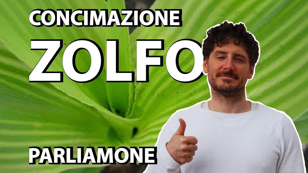 ZOLFO ELEMENTARE 2026: SOLO FUNGICIDA O ANCHE CONCIME? PARLIAMONE!