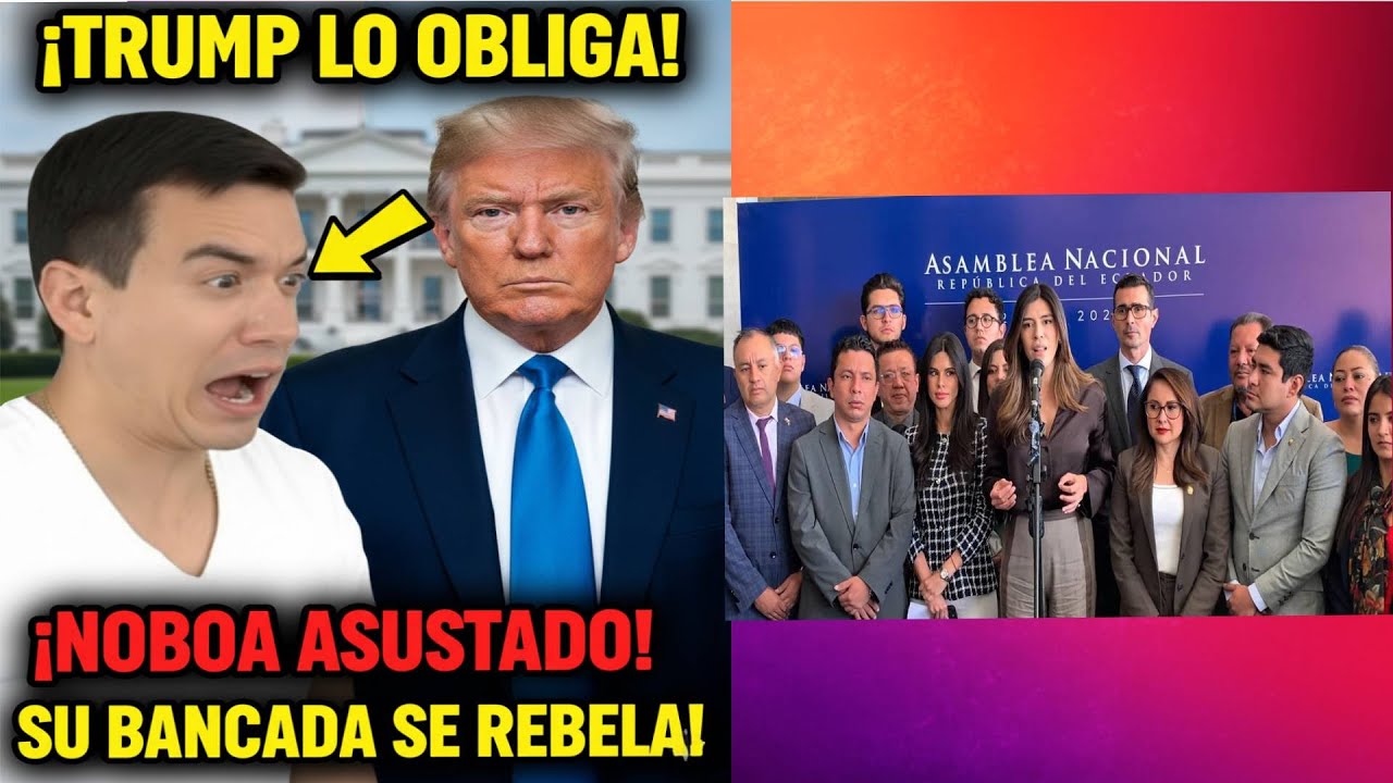 ¡NOBOA CONTRA LAS CUERDAS! 🚨 Trump lo obliga a volver y su propia bancada ADN lo traiciona