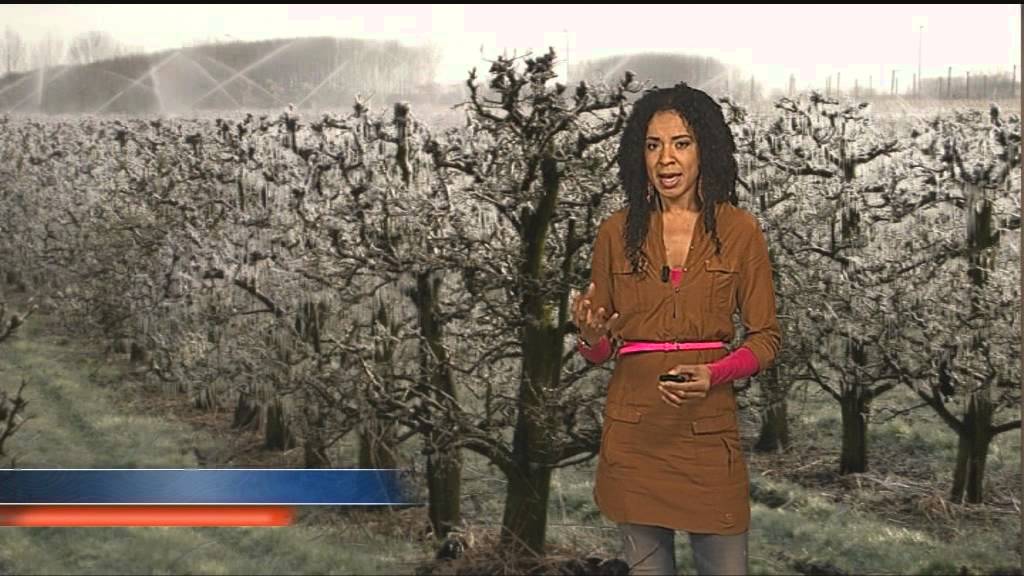 Meteogroup.nl - Weer - De Lente