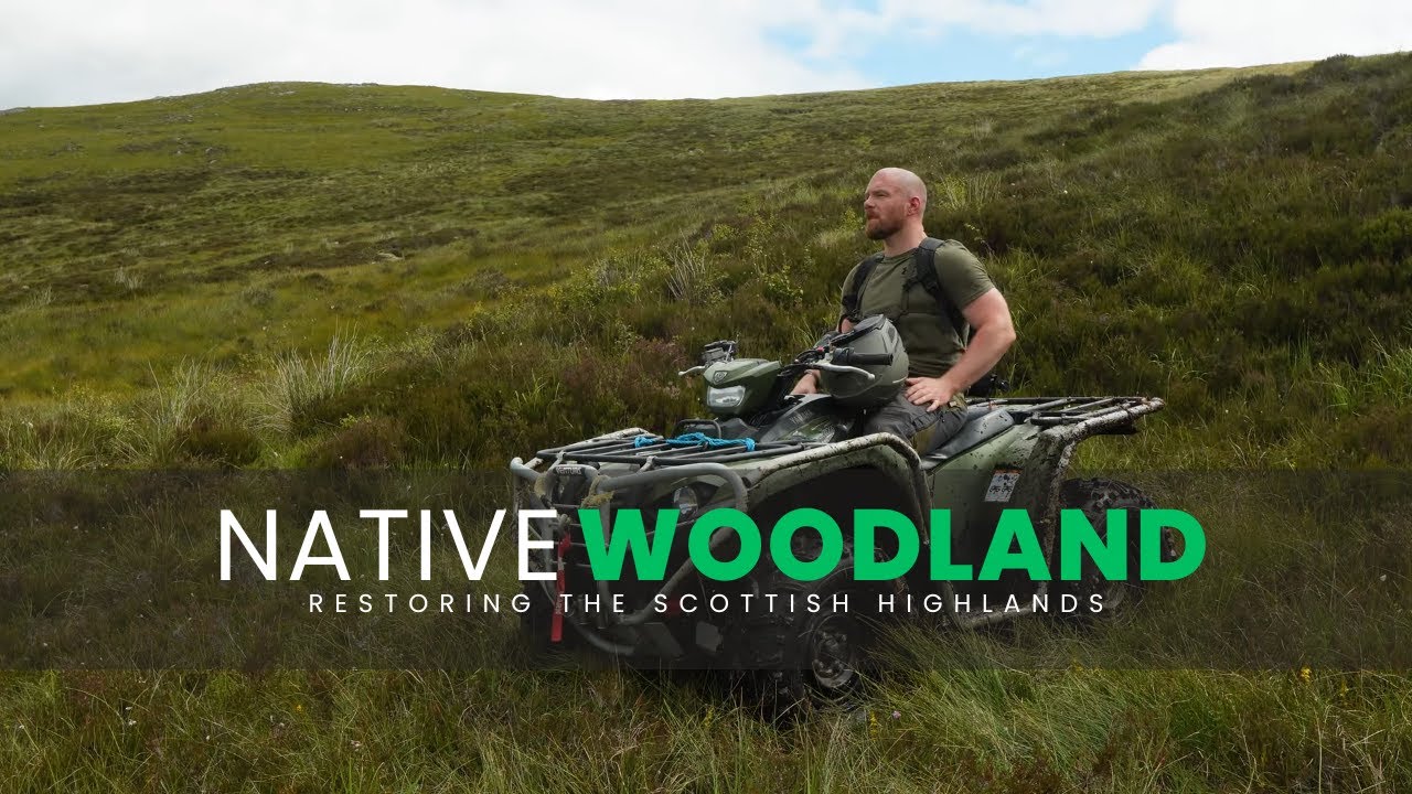 Restoring Native Woodland in the Scottish Highlands