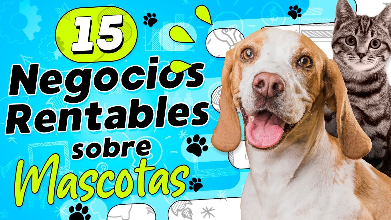 🐶 15 Negocios Rentables en el Sector de las Mascotas 😺 Negocios sobre Mascotas