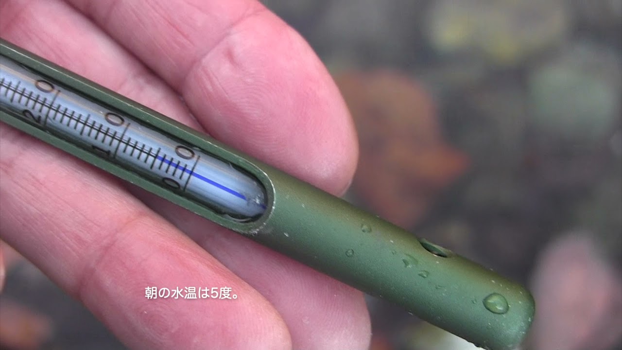 第３２回ユスリカの釣りNo １