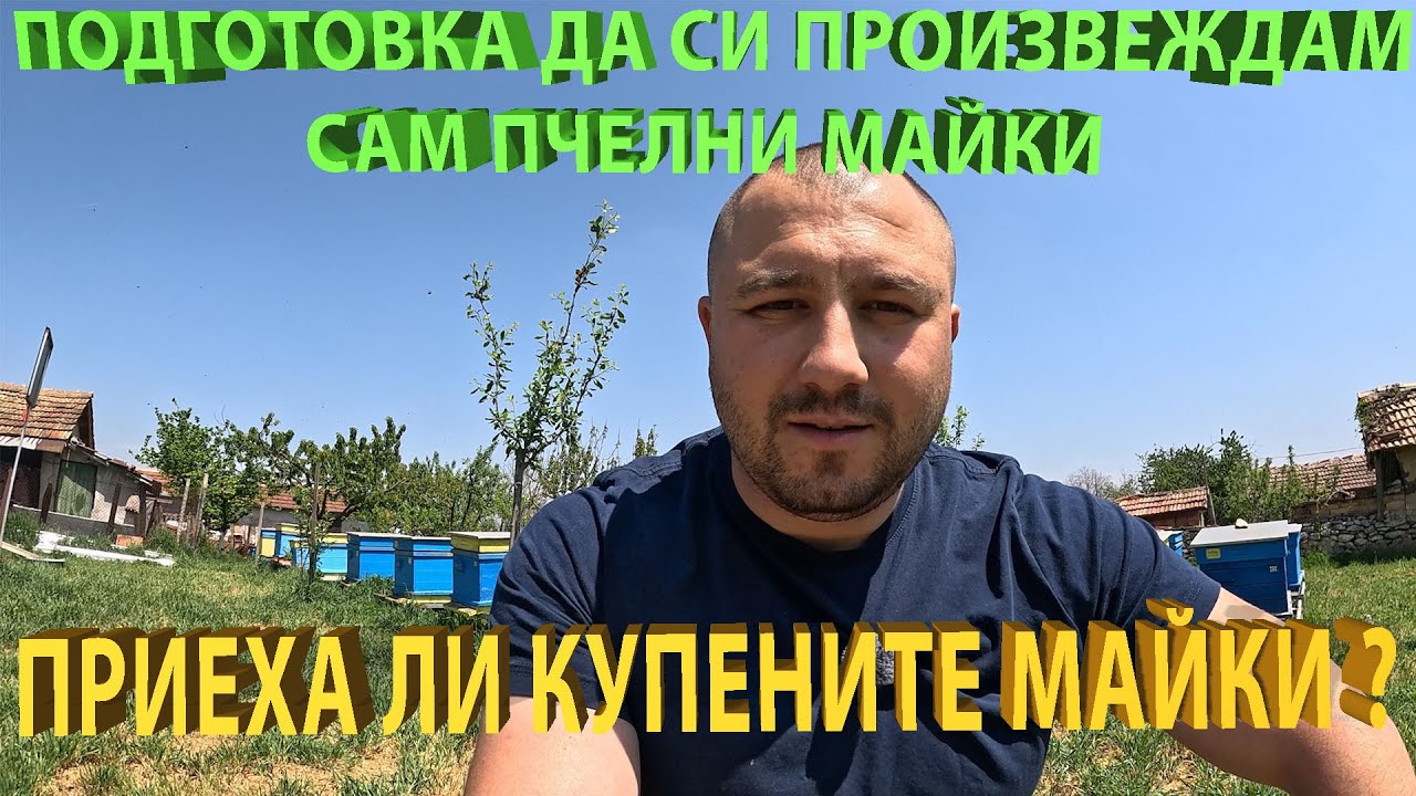 Приеха ли купените майки ? Подготовка за производство на собствени пчелни майки.