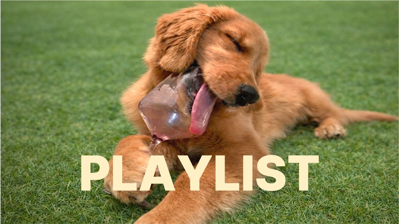 Playlist l Чилл-поп плейлист, который просто поднимает настроение