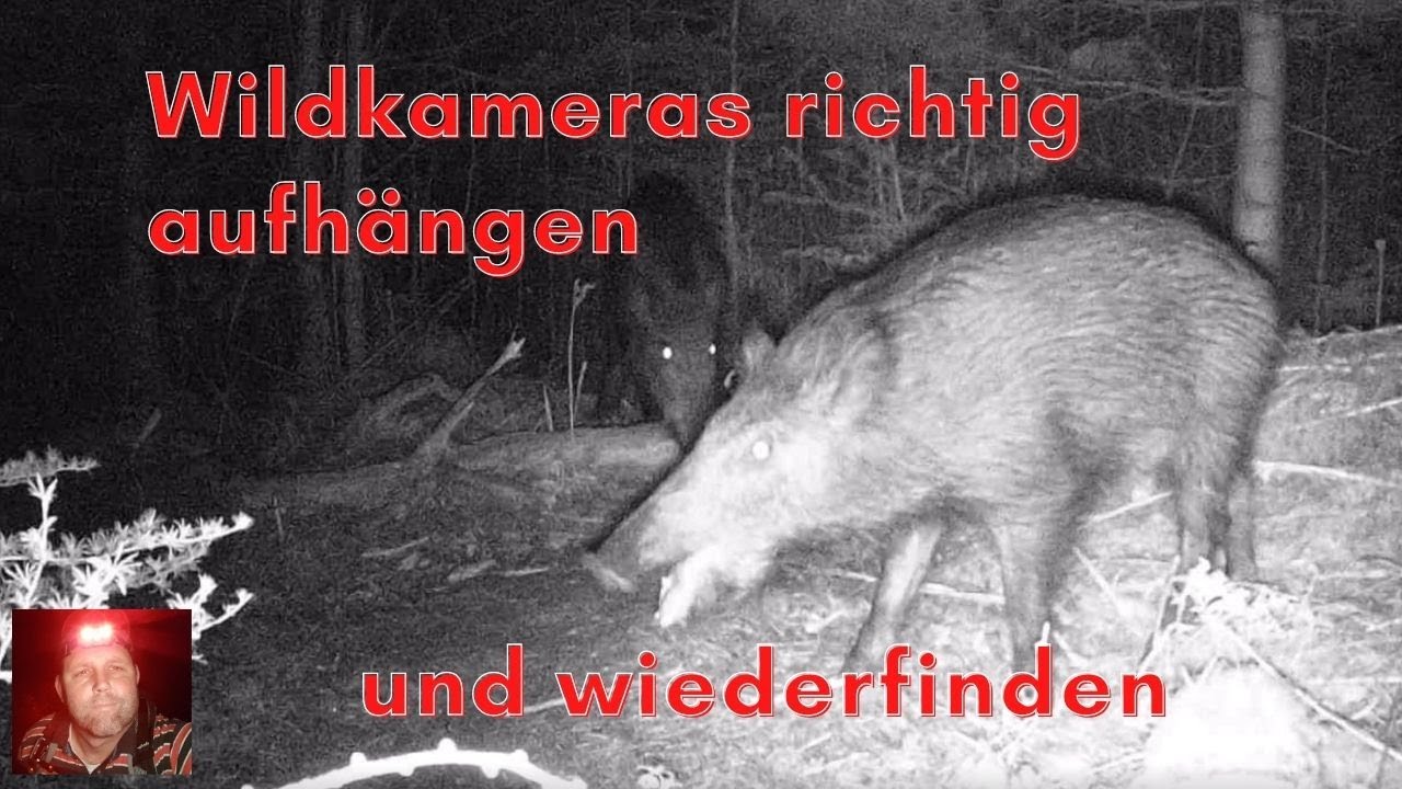 Wildkameras richtig aufhängen und wiederfinden