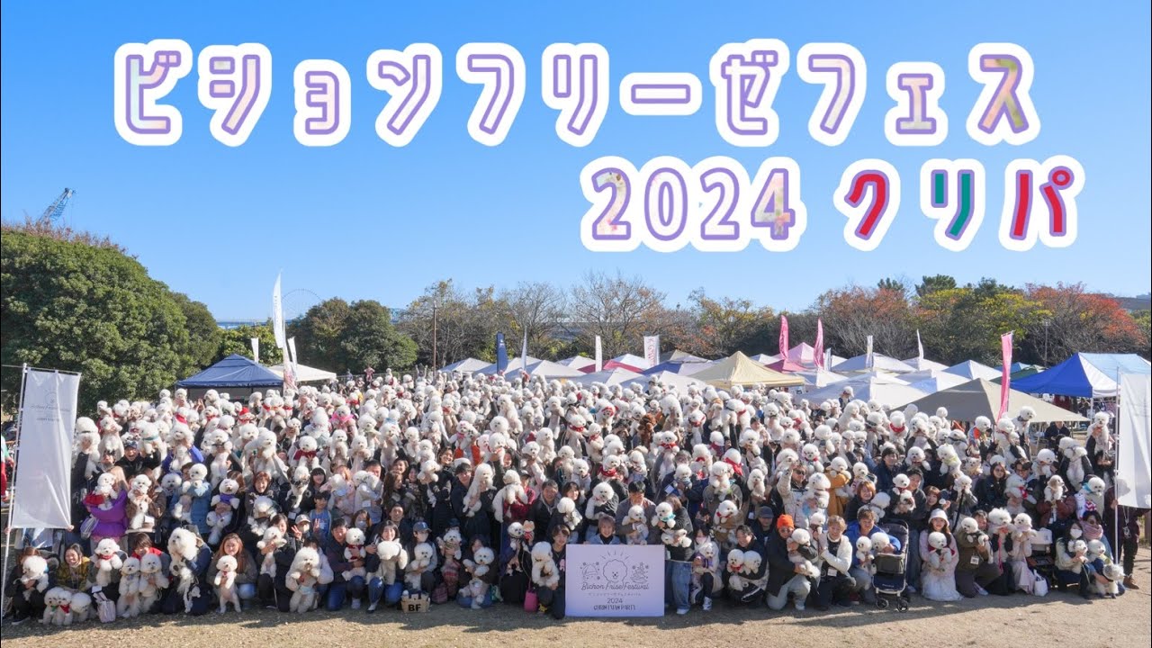 ビションフリーゼフェスティバル2024クリパ