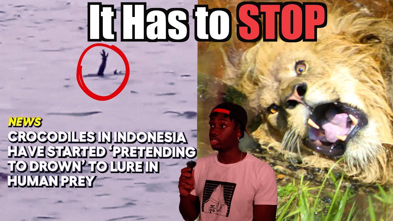 Animal Facts We Should've Left in 2024