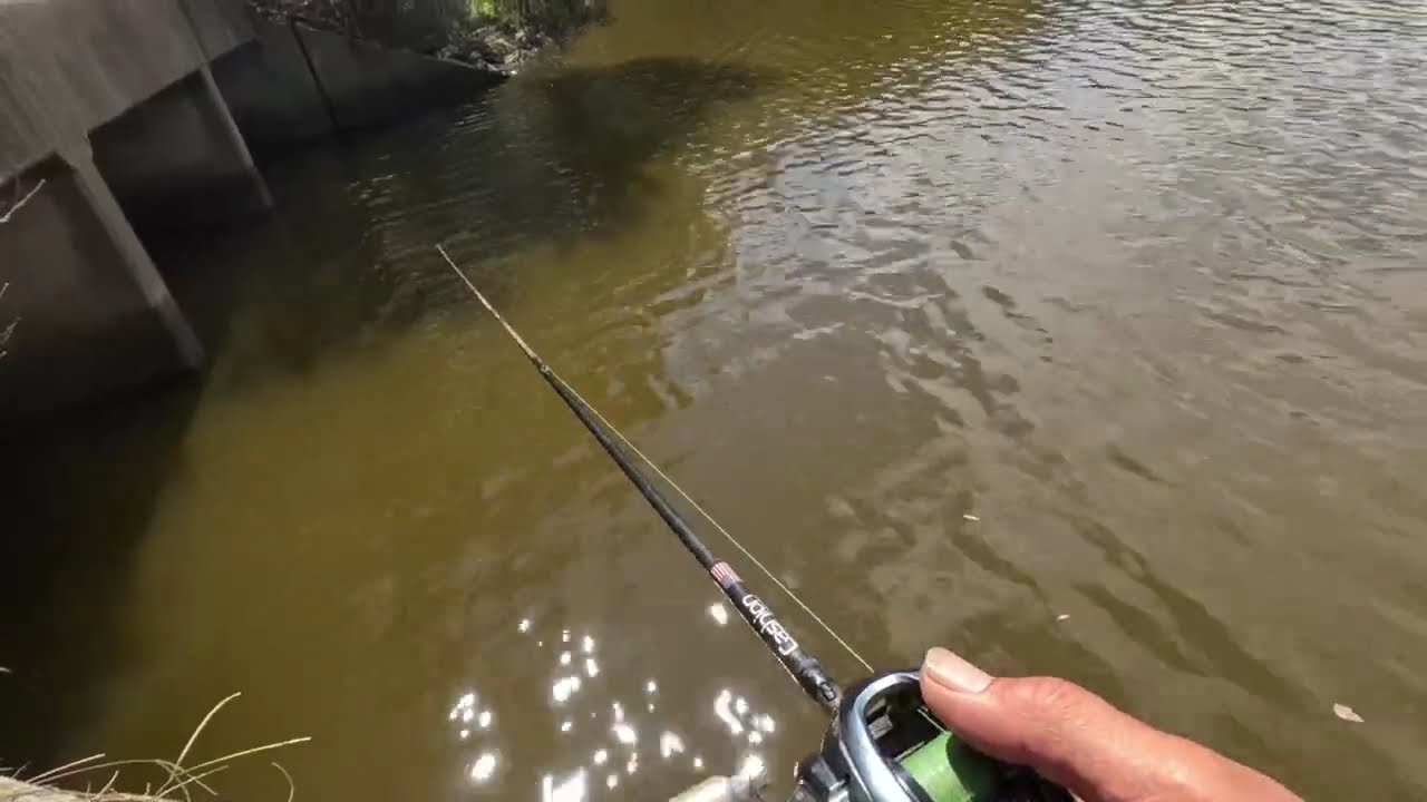 Summer Bassin NC 2025