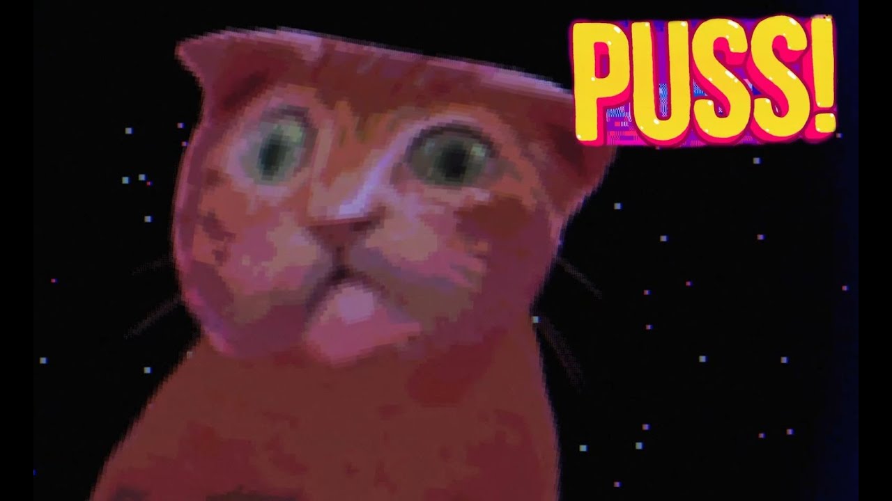КОШКОЛЕПСИЯ ► PUSS! #1