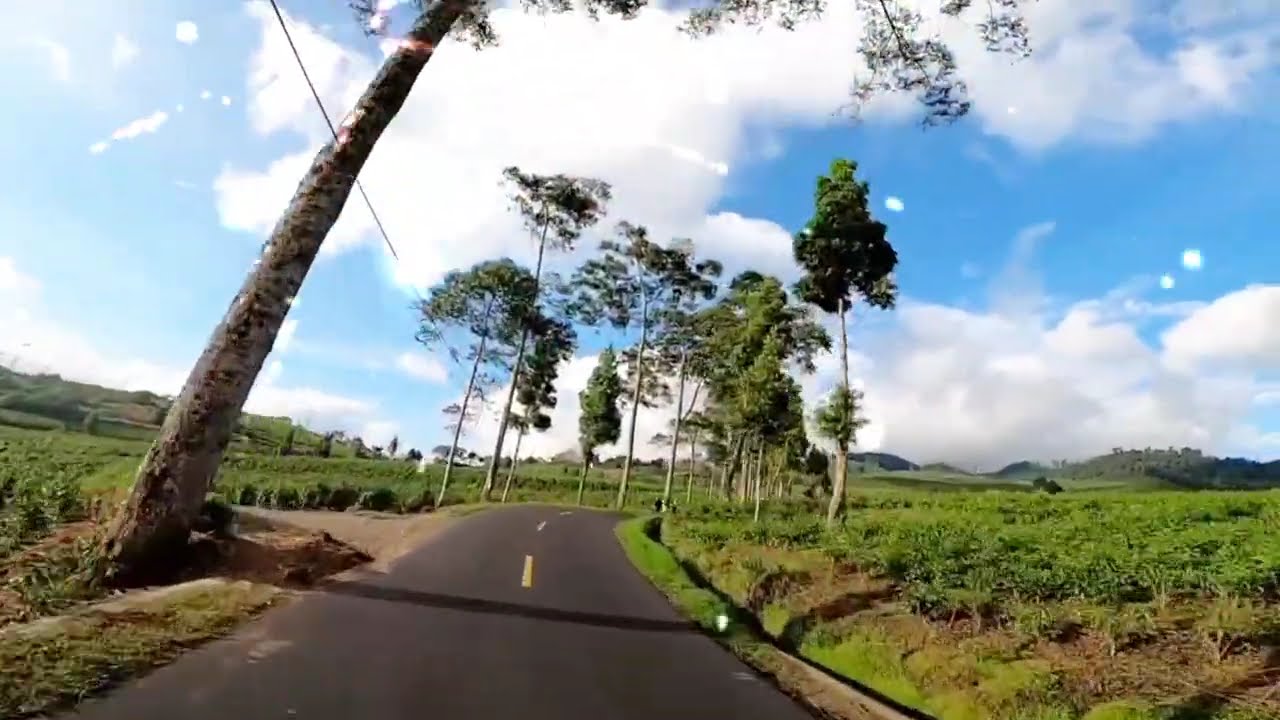Indahnya perkebunan teh rancabali, dengan cuaca yang sangat cerah