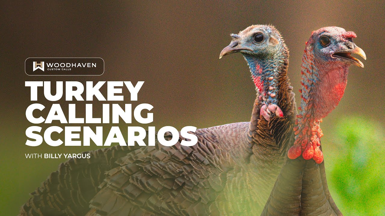 Turkey Calling Scenarios with Billy Yargus | What to Say & When