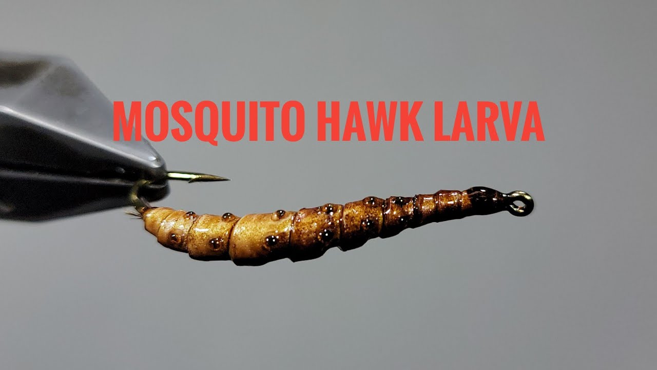 The Fascinating World of Crane Fly Larva Tying