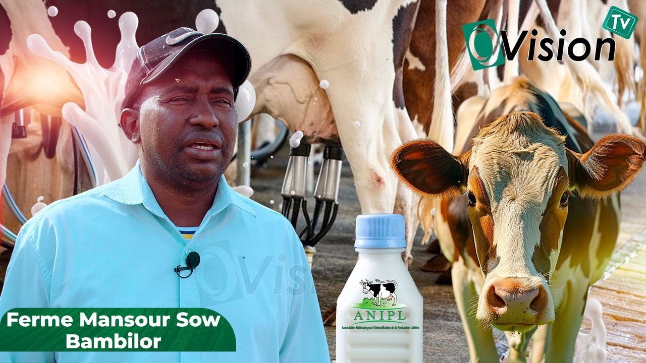 ANIPL TOUR EP2: À LA FERME DE MANSOUR SOW (BAMBILOR)