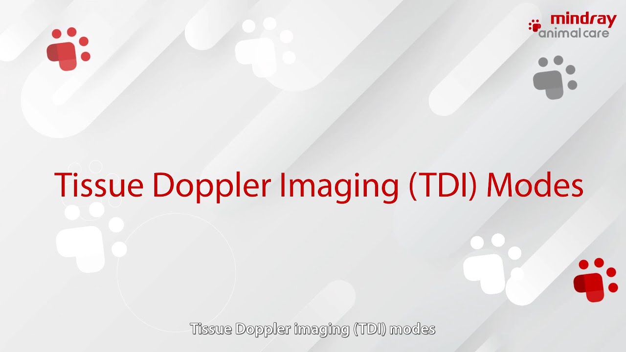 Basic Procedures for TDI & TDI QA