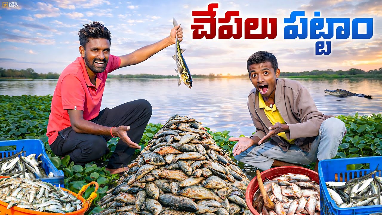 Big Size Throw fish Hunting in Pond 🐟🐟 గుత్తి గాలాల్తో చేపలు పట్టం 😲😲 Telugu Adventures
