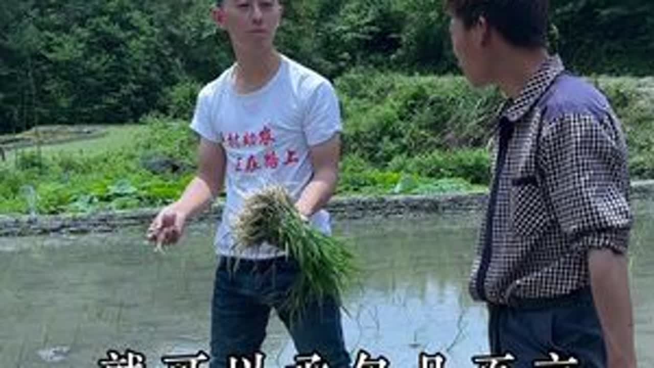 一粥一饭，当思来之不易；半丝半缕，应念物力维艰。日出而作，日落而息，阳光正好，未来可期#三农 #我的乡村生活 #新农计划2022